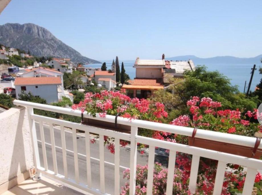 Vila Druzijanic Brist Extérieur photo
